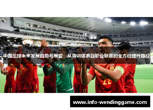 中国足球未来发展趋势与展望：从青训体系到职业联赛的全方位提升路径