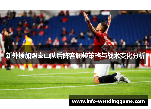 新外援加盟泰山队后阵容调整策略与战术变化分析