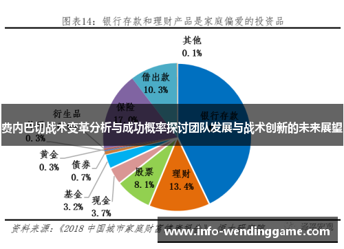 费内巴切战术变革分析与成功概率探讨团队发展与战术创新的未来展望