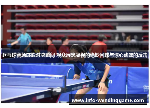 乒乓球赛场巅峰对决瞬间 观众屏息凝视的绝妙回球与惊心动魄的反击