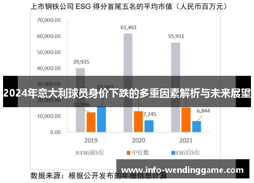 2024年意大利球员身价下跌的多重因素解析与未来展望